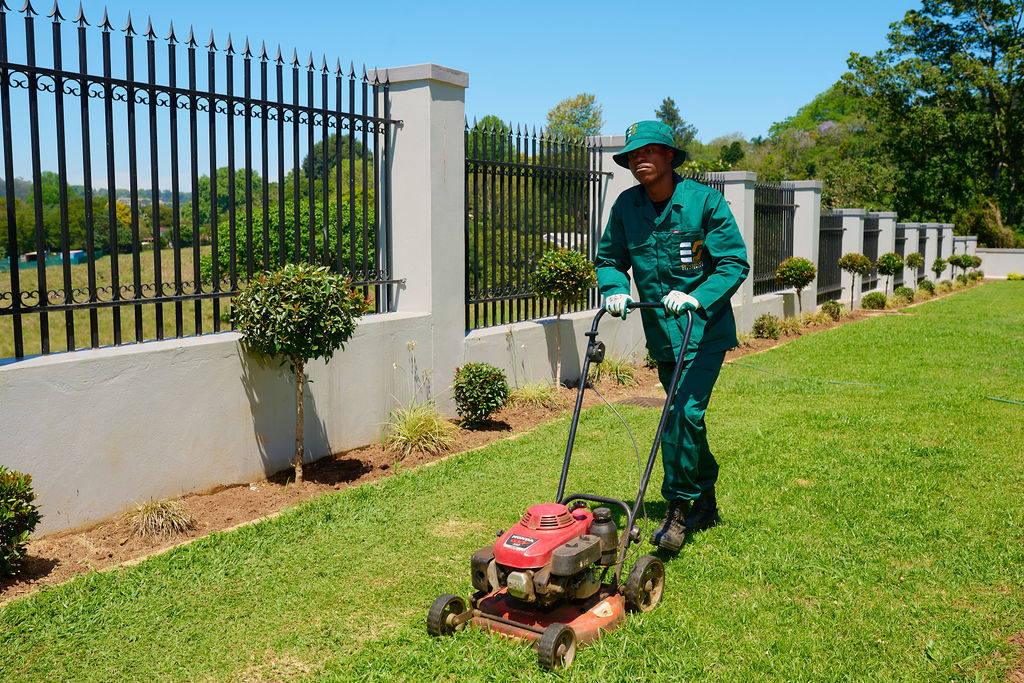 Envision Strategies 4